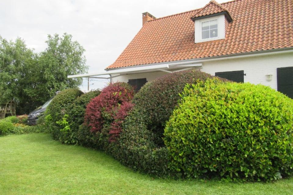 Store de terrasse - Boeschepe